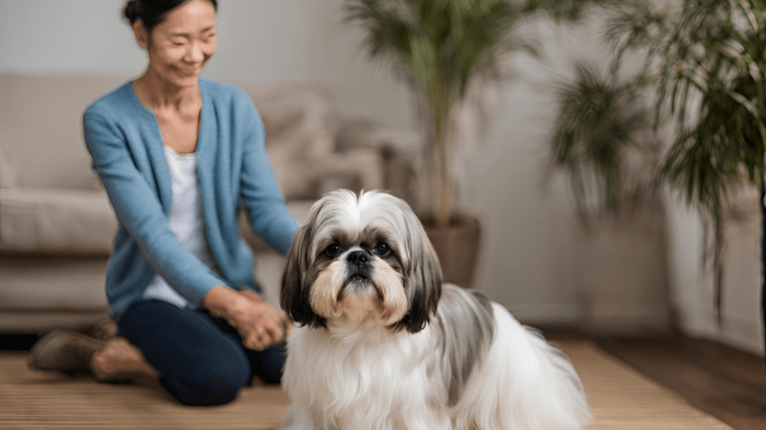 Creating the Perfect Sleep Space for Your Shih Tzu