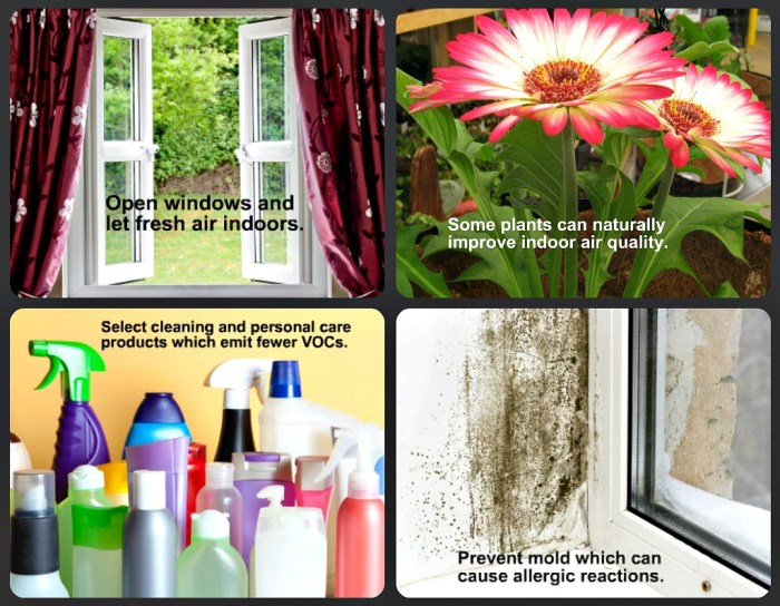 Healthier Indoor Air Healthier Indoor Air