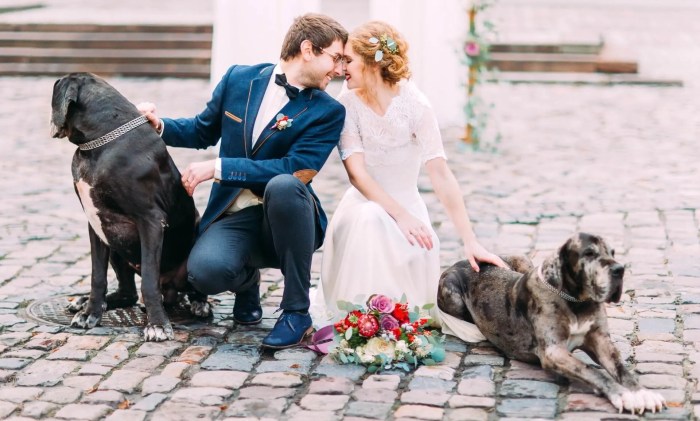 Pet-Centric Design: Integrating Furry Friends into Your Home Decor