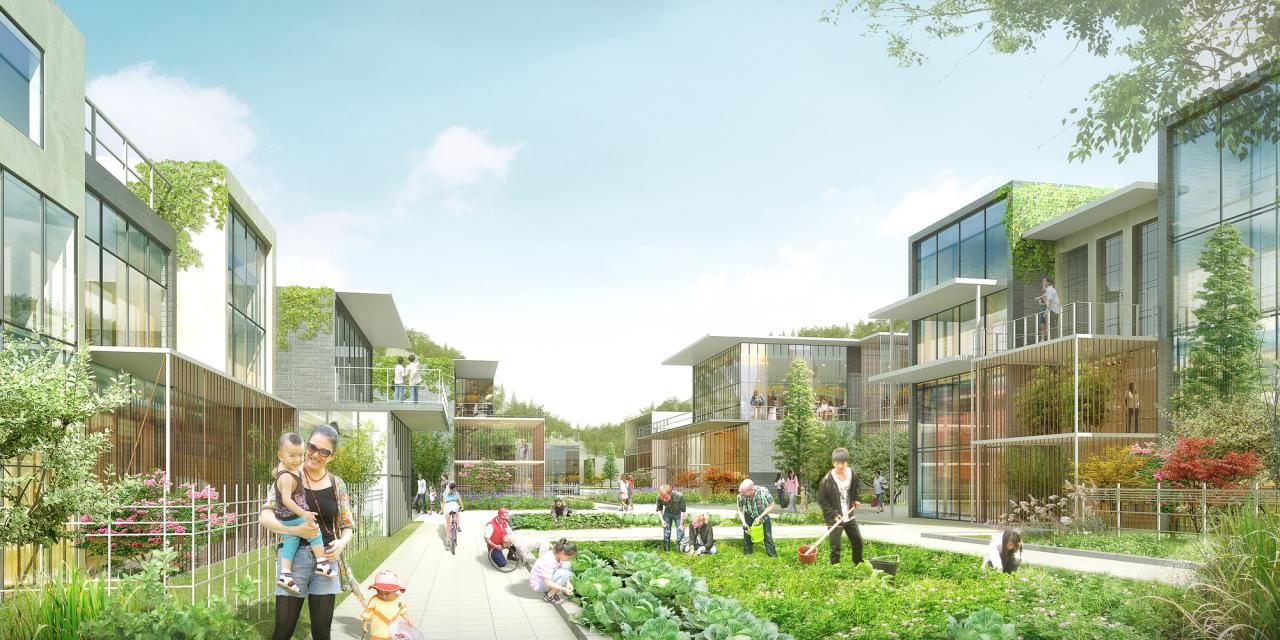 Urban Oasis: Creating Green Spaces in Small Areas