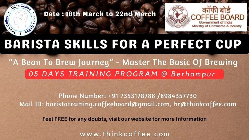 The Perfect Brew Journey: From Bean to Barista-Quality Coffee
