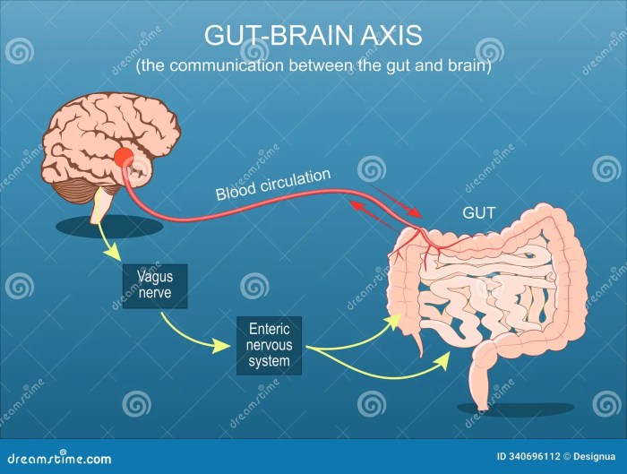Nourish Your Gut: 5 Superfoods for a Healthier Digestive System - AskMeAll Nourish Your Gut: 5 Superfoods for a Healthier Digestive System - AskMeAll
