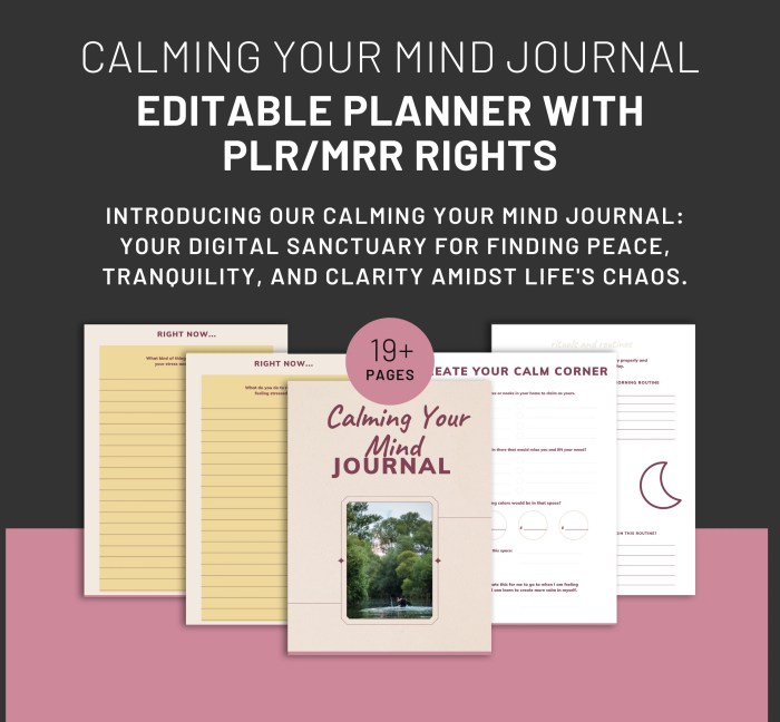 Calming Your Mind Journal 19 Pages Editable Templates With PLR and MRR ...
